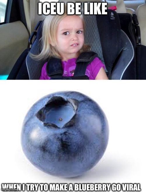 ICEU BE LIKE; WHEN I TRY TO MAKE A BLUEBERRY GO VIRAL | image tagged in wtf girl | made w/ Imgflip meme maker