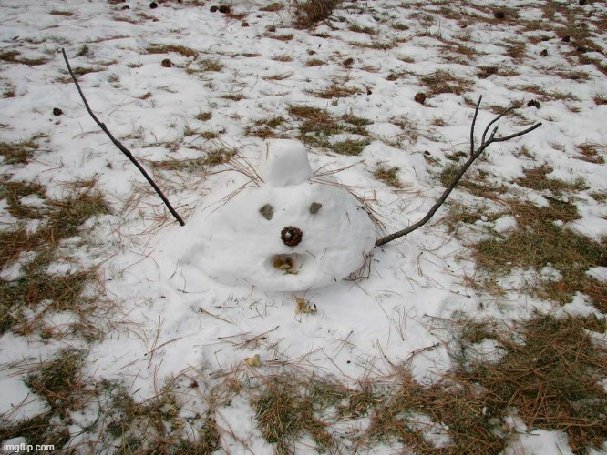 Melted Snowman | image tagged in melted snowman | made w/ Imgflip meme maker