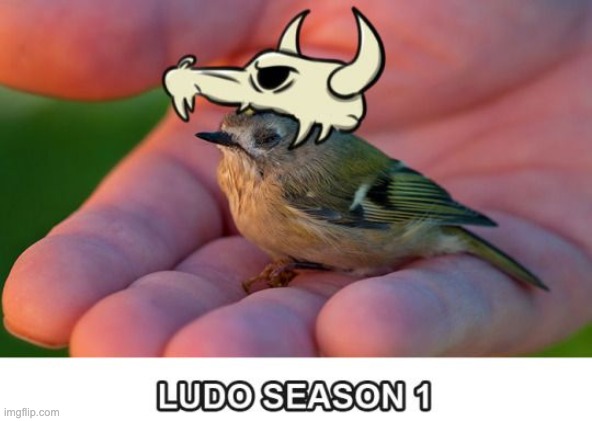 Ludo Season 1 | image tagged in star vs the forces of evil,svtfoe,memes,birds,funny,ludo | made w/ Imgflip meme maker