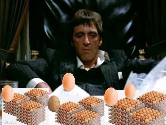 Eggface | image tagged in scarface cocaine,egg,prices,rich | made w/ Imgflip meme maker