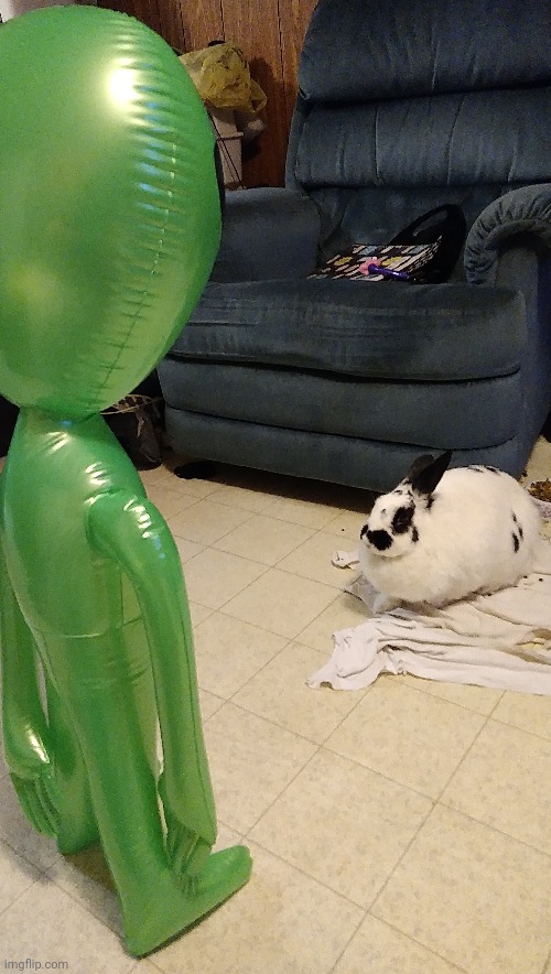 i miss her | made w/ Imgflip meme maker