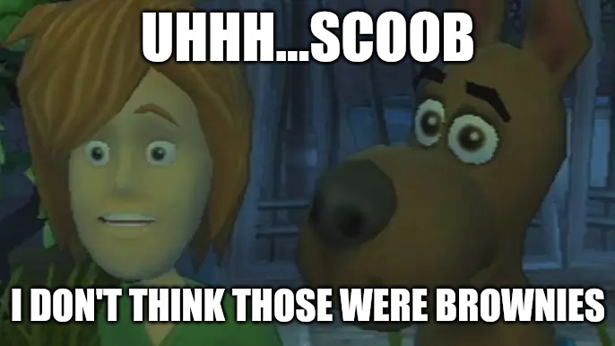 UHHH...SCOOB; I DON'T THINK THOSE WERE BROWNIES | made w/ Imgflip meme maker