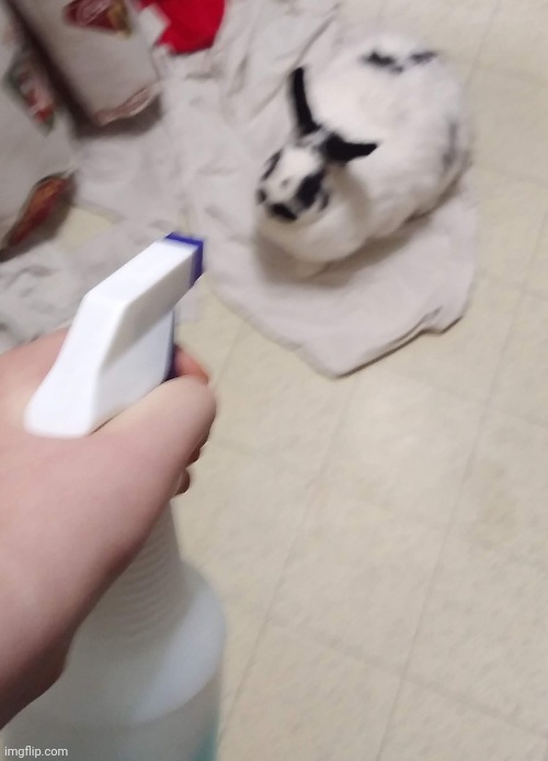 juju | made w/ Imgflip meme maker