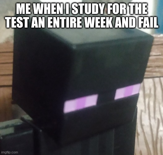 im in the office rn | ME WHEN I STUDY FOR THE TEST AN ENTIRE WEEK AND FAIL | image tagged in enderman stare,school | made w/ Imgflip meme maker