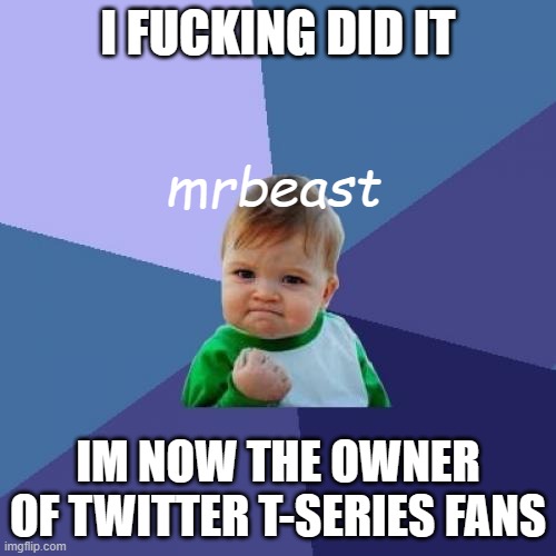 mrbeast is mean ),: | I FUCKING DID IT; mrbeast; IM NOW THE OWNER OF TWITTER T-SERIES FANS | image tagged in memes,success kid,mrbeast,twitter,owning,elon musk | made w/ Imgflip meme maker