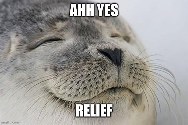 Relief | AHH YES; RELIEF | image tagged in memes,satisfied seal | made w/ Imgflip meme maker