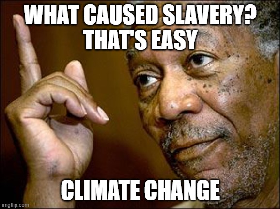 Climate change | WHAT CAUSED SLAVERY?
THAT'S EASY; CLIMATE CHANGE | image tagged in this morgan freeman | made w/ Imgflip meme maker