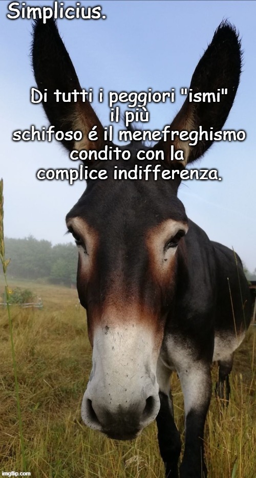 Di tutti i peggiori "ismi"
il più schifoso é il menefreghismo
condito con la 
complice indifferenza. | made w/ Imgflip meme maker