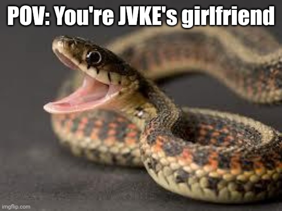 Warning Snake | POV: You're JVKE's girlfriend | image tagged in warning snake | made w/ Imgflip meme maker