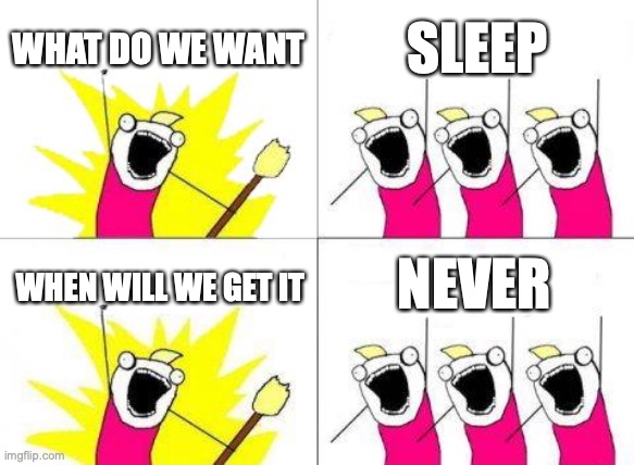 What Do We Want | WHAT DO WE WANT; SLEEP; NEVER; WHEN WILL WE GET IT | image tagged in memes,what do we want | made w/ Imgflip meme maker