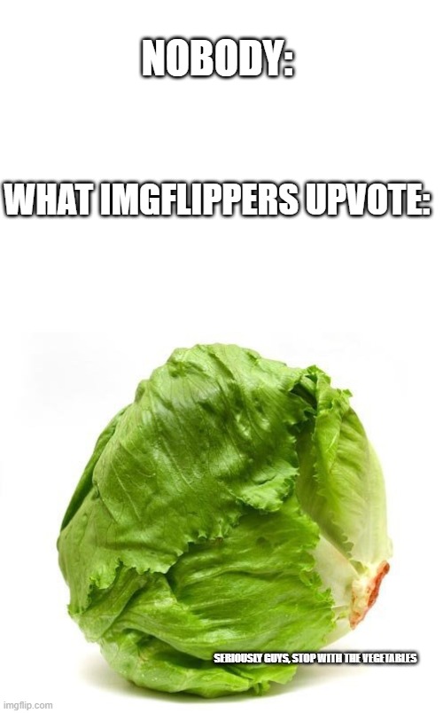 NOBODY:; WHAT IMGFLIPPERS UPVOTE:; SERIOUSLY GUYS, STOP WITH THE VEGETABLES | image tagged in blank white template,lettuce get some head | made w/ Imgflip meme maker