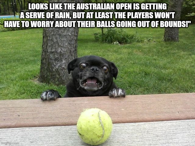Pug Tennis Ball | LOOKS LIKE THE AUSTRALIAN OPEN IS GETTING A SERVE OF RAIN, BUT AT LEAST THE PLAYERS WON'T HAVE TO WORRY ABOUT THEIR BALLS GOING OUT OF BOUNDS!" | image tagged in pug tennis ball | made w/ Imgflip meme maker