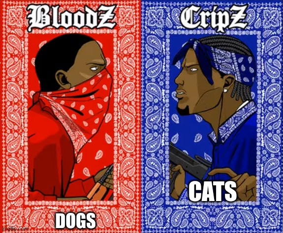 which side are you on | CATS; DOGS | image tagged in which side are you on | made w/ Imgflip meme maker