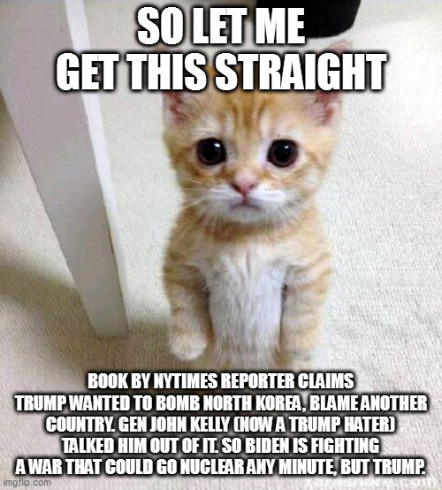 ok sure | SO LET ME GET THIS STRAIGHT; BOOK BY NYTIMES REPORTER CLAIMS TRUMP WANTED TO BOMB NORTH KOREA, BLAME ANOTHER COUNTRY. GEN JOHN KELLY (NOW A TRUMP HATER) TALKED HIM OUT OF IT. SO BIDEN IS FIGHTING A WAR THAT COULD GO NUCLEAR ANY MINUTE, BUT TRUMP. | image tagged in memes,cute cat | made w/ Imgflip meme maker