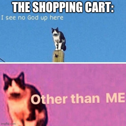 Hail pole cat | THE SHOPPING CART: | image tagged in hail pole cat | made w/ Imgflip meme maker