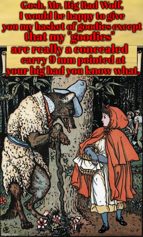 Little Red Riding Hood & the Big Bad Wolf |  Gosh, Mr. Big Bad Wolf, I would be happy to give you my basket of goodies except; that my "goodies" are really a concealed; carry 9 mm pointed at your big bad you know what. | image tagged in little red riding hood,nra | made w/ Imgflip meme maker