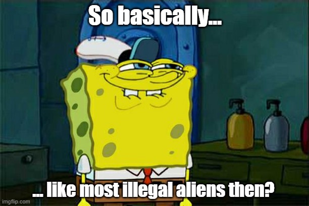 Don't You Squidward Meme | So basically... ... like most illegal aliens then? | image tagged in memes,don't you squidward | made w/ Imgflip meme maker
