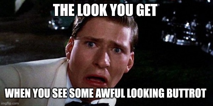 Awful looking Buttrot |  THE LOOK YOU GET; WHEN YOU SEE SOME AWFUL LOOKING BUTTROT | image tagged in back to the future,funny memes | made w/ Imgflip meme maker