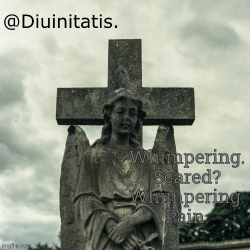 Whimpering.
Scared?
Whimpering.
Pain. | made w/ Imgflip meme maker