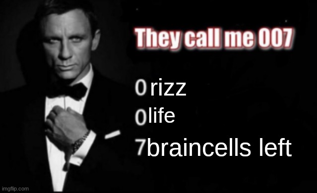 Furry Meem | rizz; life; braincells left | image tagged in they call me 007,furry | made w/ Imgflip meme maker