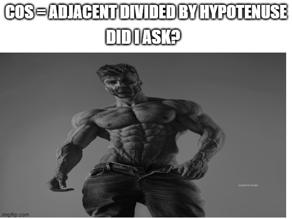 DESTRUCTION 100 | COS = ADJACENT DIVIDED BY HYPOTENUSE; DID I ASK? | image tagged in alpha male hyper pro gigachad | made w/ Imgflip meme maker
