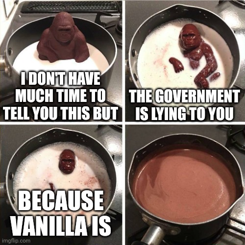 Vanilla | I DON'T HAVE MUCH TIME TO TELL YOU THIS BUT; THE GOVERNMENT IS LYING TO YOU; BECAUSE VANILLA IS | image tagged in chocolate gorilla | made w/ Imgflip meme maker