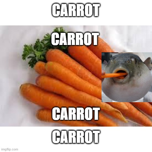 Carrots | CARROT CARROT CARROT CARROT | image tagged in carrots | made w/ Imgflip meme maker