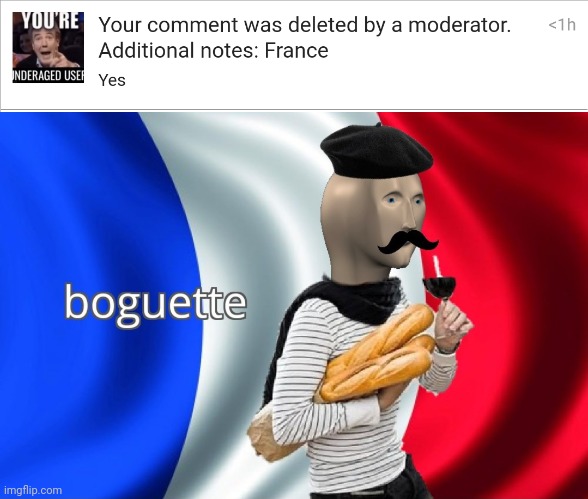 My alt got comment banned I think but still "France" wtaf | image tagged in boguette | made w/ Imgflip meme maker