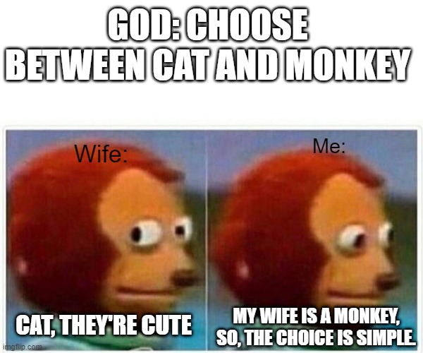 Cats, or MONKEY | GOD: CHOOSE BETWEEN CAT AND MONKEY; Me:; Wife:; CAT, THEY'RE CUTE; MY WIFE IS A MONKEY, SO, THE CHOICE IS SIMPLE. | image tagged in memes,monkey puppet | made w/ Imgflip meme maker