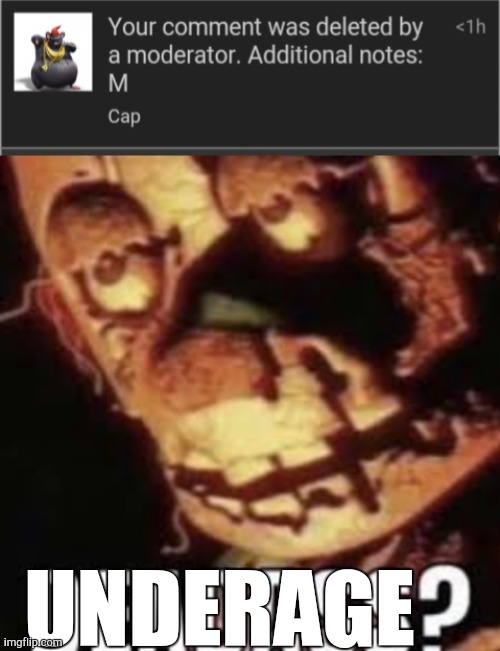 Underage mod | UNDERAGE | made w/ Imgflip meme maker