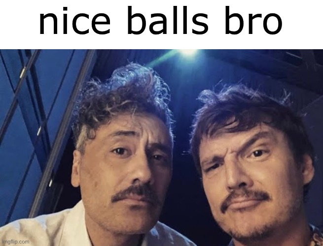 nice | nice balls bro | image tagged in balls,memes | made w/ Imgflip meme maker