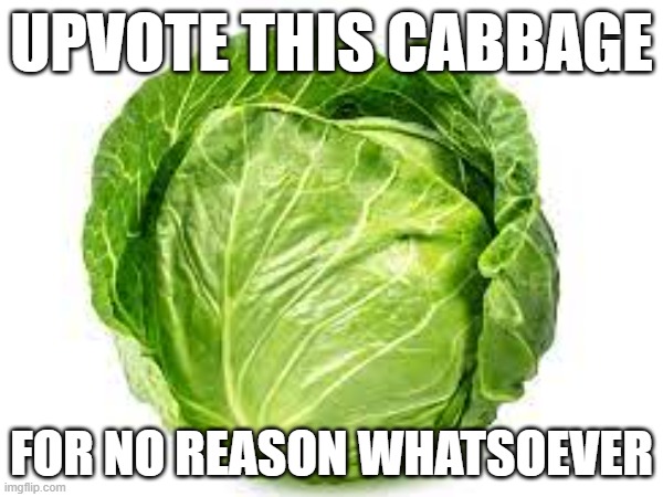 THE VEGATABLES ARE TAKING OVER | UPVOTE THIS CABBAGE; FOR NO REASON WHATSOEVER | image tagged in cabbage | made w/ Imgflip meme maker