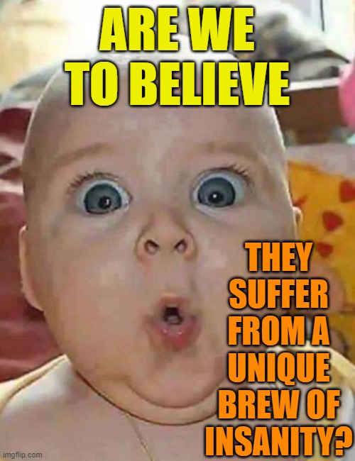 Super-surprised baby | ARE WE TO BELIEVE THEY SUFFER FROM A UNIQUE BREW OF INSANITY? | image tagged in super-surprised baby | made w/ Imgflip meme maker