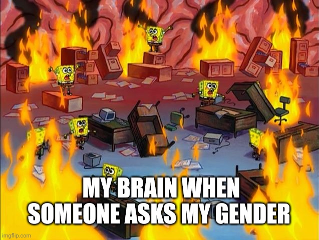 I like,  literally don't know anymore | MY BRAIN WHEN SOMEONE ASKS MY GENDER | image tagged in spongebob fire | made w/ Imgflip meme maker