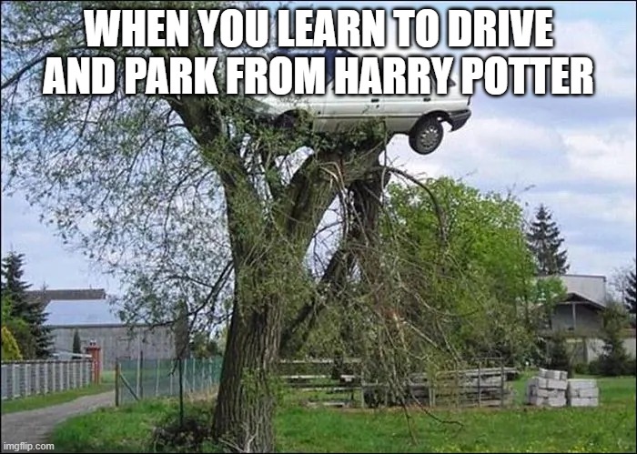 car on tree | WHEN YOU LEARN TO DRIVE AND PARK FROM HARRY POTTER | image tagged in car on tree,horny harry,harry potter meme,tree,captain picard facepalm | made w/ Imgflip meme maker