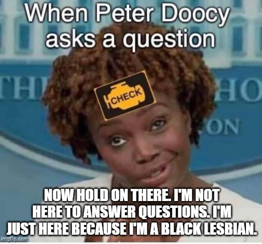Clueless in the Capitol | NOW HOLD ON THERE. I'M NOT HERE TO ANSWER QUESTIONS. I'M JUST HERE BECAUSE I'M A BLACK LESBIAN. | image tagged in clueless in the capitol | made w/ Imgflip meme maker