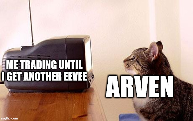 cat watching tv | ME TRADING UNTIL I GET ANOTHER EEVEE; ARVEN | image tagged in cat watching tv | made w/ Imgflip meme maker