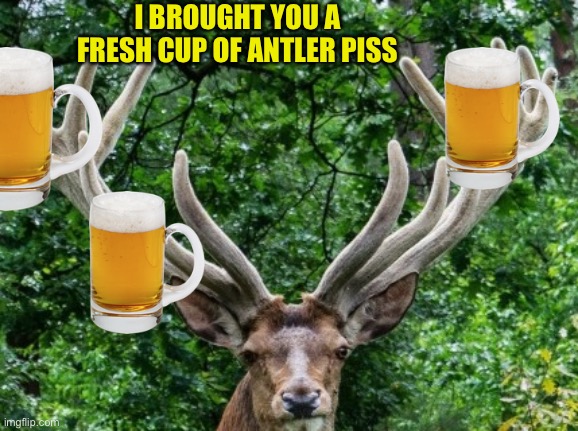 Down here fellas | I BROUGHT YOU A FRESH CUP OF ANTLER PISS | image tagged in down here fellas | made w/ Imgflip meme maker