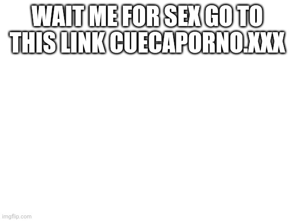 Blank White Template | WAIT ME FOR SEX GO TO THIS LINK CUECAPORNO.XXX | image tagged in blank white template | made w/ Imgflip meme maker