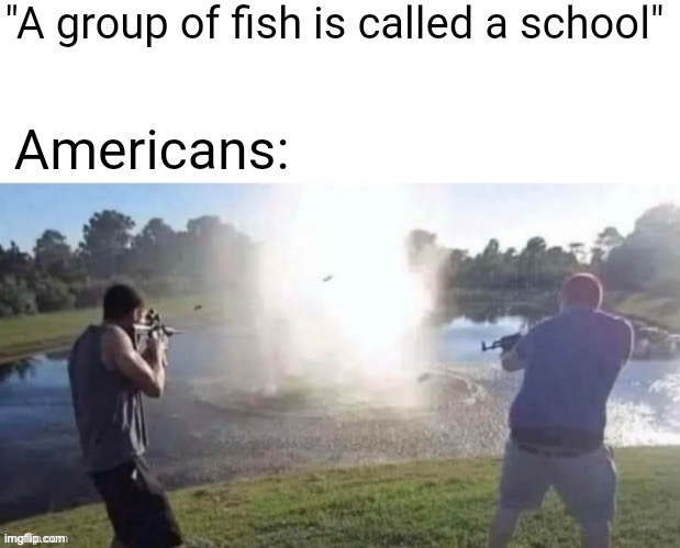 you know why i put it in this stream | image tagged in school,guns | made w/ Imgflip meme maker