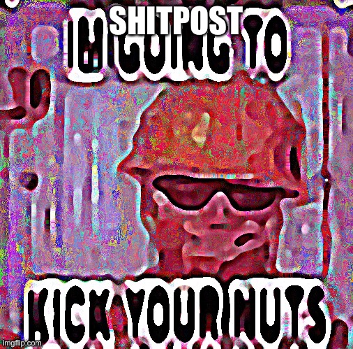 SHITPOST | image tagged in im going to kick your nuts | made w/ Imgflip meme maker