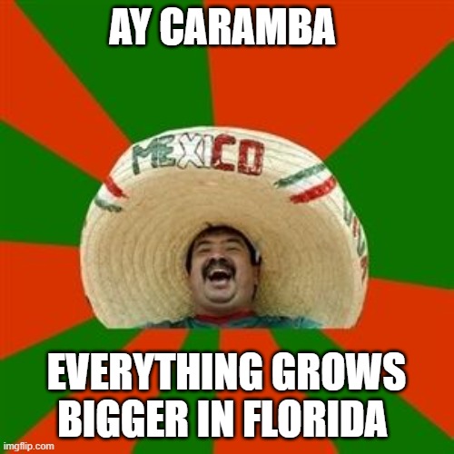 succesful mexican | AY CARAMBA EVERYTHING GROWS BIGGER IN FLORIDA | image tagged in succesful mexican | made w/ Imgflip meme maker
