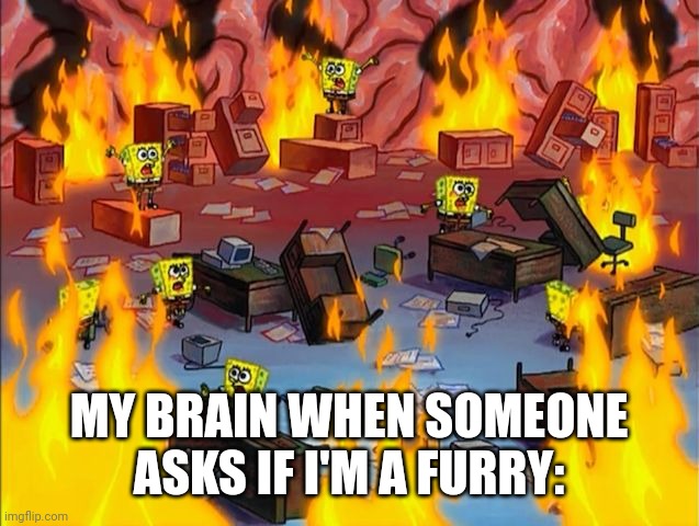 I truly don't know | MY BRAIN WHEN SOMEONE ASKS IF I'M A FURRY: | image tagged in spongebob fire | made w/ Imgflip meme maker