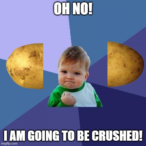 joey mom | OH NO! I AM GOING TO BE CRUSHED! | image tagged in memes,success kid | made w/ Imgflip meme maker