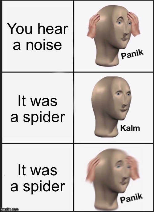 Panik Kalm Panik | You hear a noise; It was a spider; It was a spider | image tagged in memes,panik kalm panik | made w/ Imgflip meme maker
