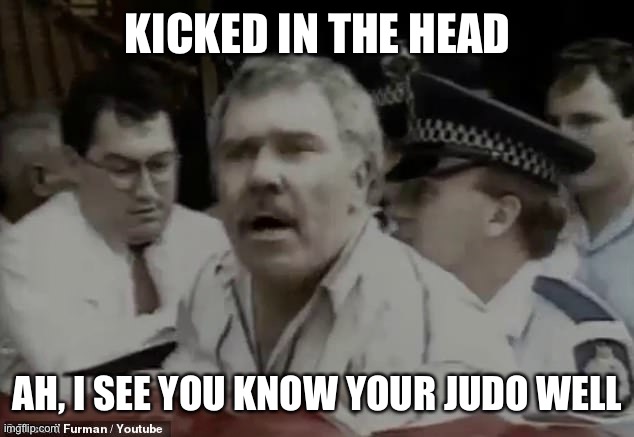 i see you know your judo well | KICKED IN THE HEAD; AH, I SEE YOU KNOW YOUR JUDO WELL | image tagged in i see you know your judo well | made w/ Imgflip meme maker