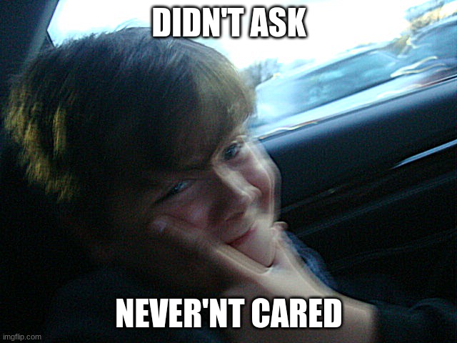me tho fr | DIDN'T ASK; NEVER'NT CARED | image tagged in aaaaaaaaaaaaaaaaaaaaaaaaaaaaaaaaaaaaaaaaaaaaaaaaaaaah | made w/ Imgflip meme maker