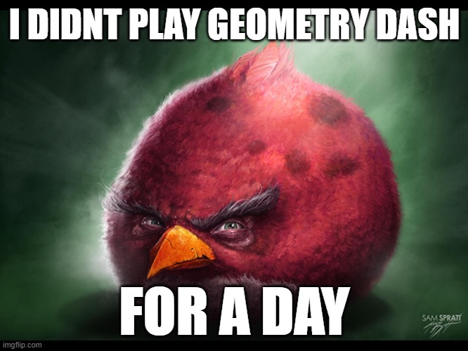 Realistic Angry Bird (big red) | I DIDNT PLAY GEOMETRY DASH; FOR A DAY | image tagged in realistic angry bird big red | made w/ Imgflip meme maker