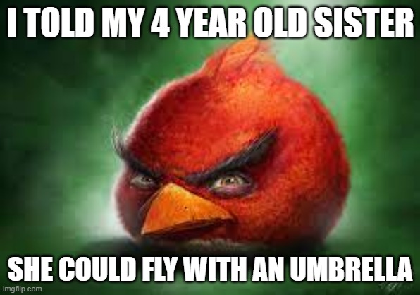 Realistic Red Angry Birds | I TOLD MY 4 YEAR OLD SISTER; SHE COULD FLY WITH AN UMBRELLA | image tagged in realistic red angry birds | made w/ Imgflip meme maker