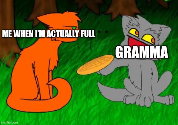 Gramma | ME WHEN I’M ACTUALLY FULL; GRAMMA | image tagged in firestar doesn't like waffles | made w/ Imgflip meme maker
